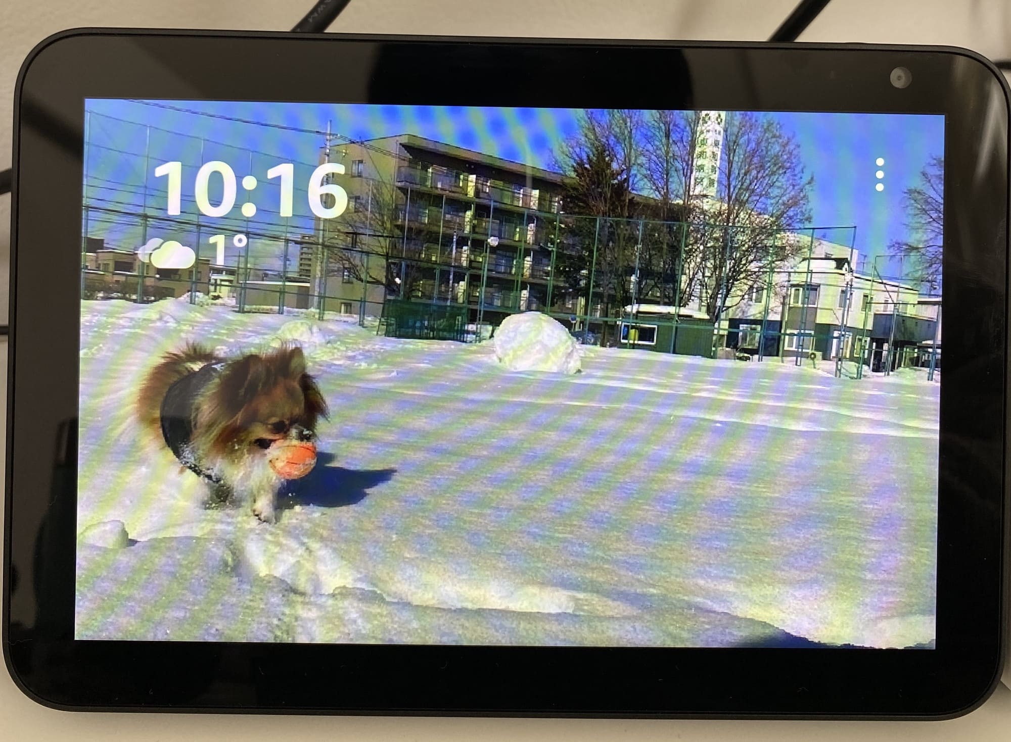 Echo Show8で写真を表示