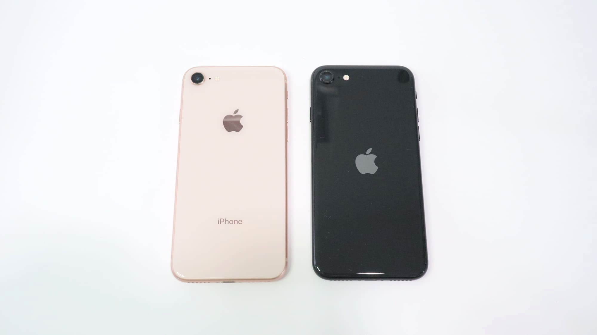iPhone SEとiPhone8の背面比較